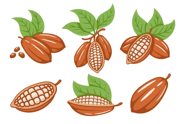 Набір Какао Бобів Ізольовано Білому Тлі Шаблон Логотипу Тіло Какао Стокова Ілюстрація