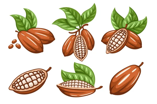 Conjunto Granos Cacao Aislados Sobre Fondo Blanco Plantilla Logo Cuerpo — Archivo Imágenes Vectoriales