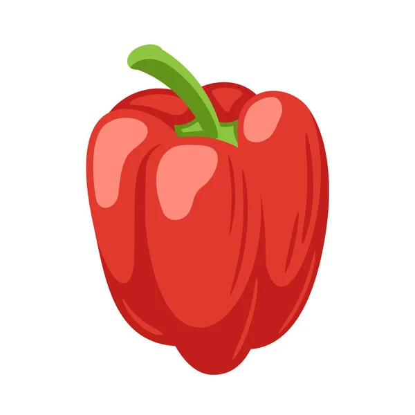Sladká Červená Paprika Izolované Bílém Pozadí Paprika Stylu Karikatury Vektorová — Stockový vektor