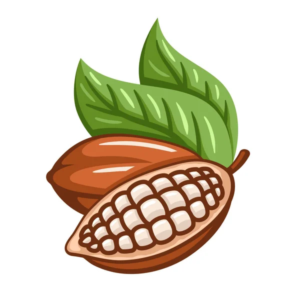 Kakaobohnen Isoliert Auf Weißem Hintergrund Logo Vorlage Kakaobohnen Designelemente Vektorillustration — Stockvektor