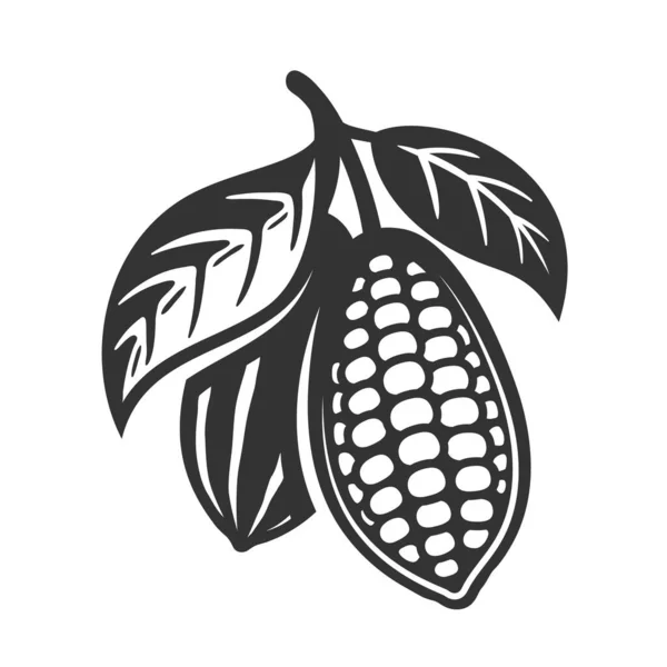 Vaina Cacao Aislado Sobre Fondo Blanco Plantilla Logo Judías Cacao — Vector de stock