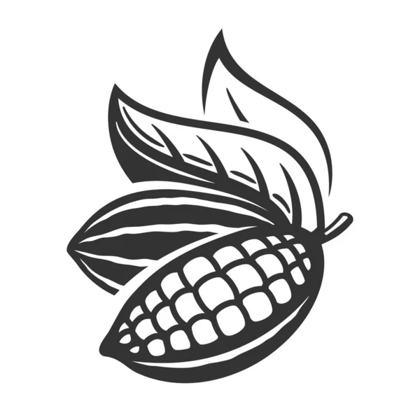 Vaina Cacao Aislado Sobre Fondo Blanco Plantilla Logo Judías Cacao — Vector de stock