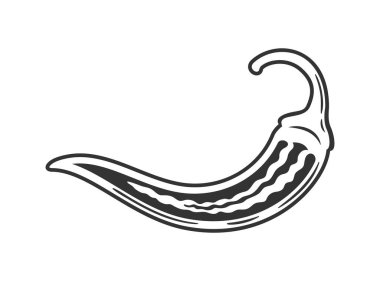 Beyaz arkaplanda izole edilmiş kırmızı biber ikonu. Vektör illüstrasyonu