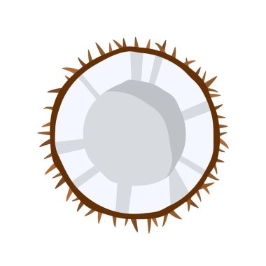 Hindistan cevizi simgesi beyaz arkaplanda izole edildi. Çizgi film tarzı. Vektör illüstrasyonu