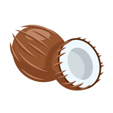 Hindistan cevizi simgesi beyaz arkaplanda izole edildi. Çizgi film tarzı. Vektör illüstrasyonu