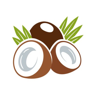 Hindistan cevizi simgesi beyaz arkaplanda izole edildi. Çizgi film tarzı. Vektör illüstrasyonu