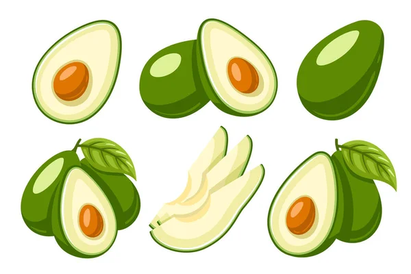 Set Fresh Avocado Icons Isolated White Background Vector Illustration — Stock Vector