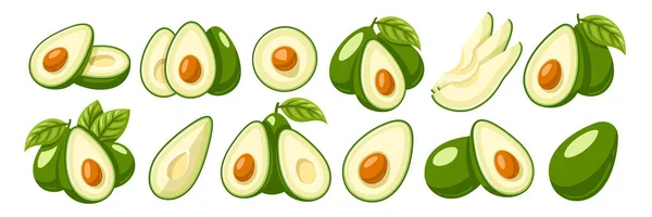 Ein Set Frischer Avocado Symbole Isoliert Auf Weißem Hintergrund Vektorillustration — Stockvektor