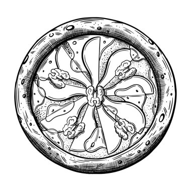 Beyaz arka planda izole edilmiş armutlu pizza çizimi. En üstten pizza yakın çekim görüntüsü. Vektör illüstrasyonu