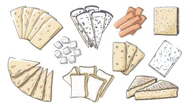 Beyaz arka planda izole edilmiş peynir tipleri. Çizgi film tarzında peynir ikonları. Vektör illüstrasyonu