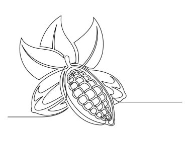 Beyaz arka planda yaprakları olan sürekli bir kakao fasulyesi dalı. Basit sebze silueti. El çizimi kakao fasulyesi dalı. Vektör illüstrasyonu