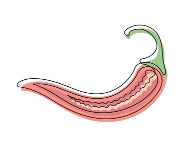 Kırmızı biber beyaz arka planda izole edilmiş. Basit bir sebze silueti. El çizimi kırmızı biber ana hatları. Vektör illüstrasyonu