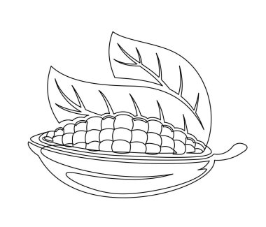 Beyaz arka planda yaprak çizgisi olan kakao fasulyesi dalı. Basit bir sebze silueti. El çizimi kakao fasulyesi dalı. Vektör illüstrasyonu