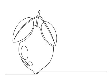 Beyaz zemin üzerinde yaprak olan aralıksız bir çizgi limon. Basit bir turunçgil silueti. Elle çizilmiş limon çizgisi. Vektör illüstrasyonu