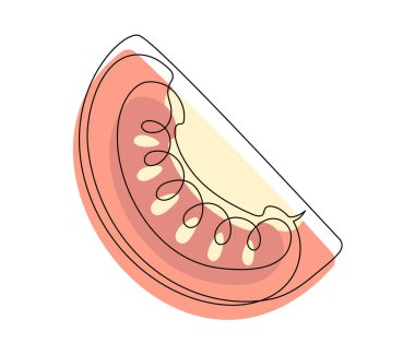 Kırmızı domates dilimi beyaz arka planda izole edilmiş. Basit sebze silueti. El çizimi domates çizimi. Vektör illüstrasyonu