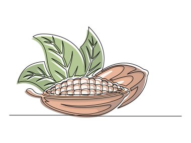 Beyaz arka planda yaprakları izole edilmiş renkli kakao fasulyesi dalları. Basit sebze silueti. El çizimi kakao fasulyesi dalı. Vektör illüstrasyonu