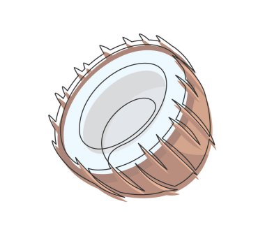 Beyaz arka planda yarım kahverengi hindistan cevizi çizgisi var. Basit sebze silueti. El çizimi hindistan cevizi ana hatları. Düzenlenebilir felç. Vektör illüstrasyonu