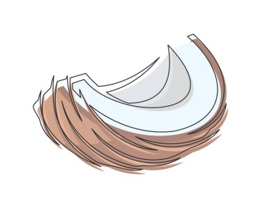 Beyaz arka planda yarım kahverengi hindistan cevizi çizgisi var. Basit sebze silueti. El çizimi hindistan cevizi ana hatları. Düzenlenebilir felç. Vektör illüstrasyonu