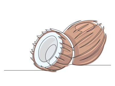 Beyaz arka planda izole edilmiş kahverengi hindistan cevizleri. Basit bir bitki silueti. El çizimi hindistan cevizi taslağı. Düzenlenebilir felç. Vektör illüstrasyonu