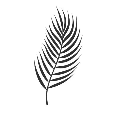 Beyaz arka planda izole edilmiş palmiye yaprağı. Siyah palmiye yaprağı silueti. Tropikal ağaç. Hindistan cevizi bitkisi. Vektör illüstrasyonu