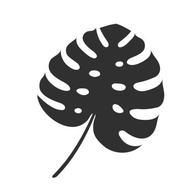 Beyaz arka planda izole edilmiş canavar yaprağı. Siyah canavar yaprağı silueti. Tropikal ağaç. Vektör illüstrasyonu