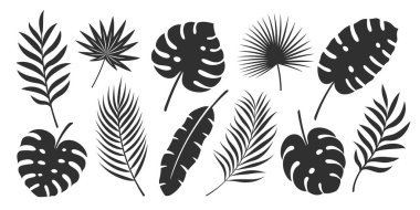 Palmiye yaprağı beyaz arka planda izole edilmiş. Tropik siyah yaprak silueti: avuç içi, muz, hindistan cevizi. Vektör illüstrasyonu