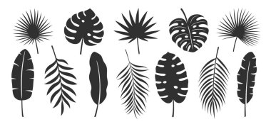 Palmiye yaprağı beyaz arka planda izole edilmiş. Tropik siyah yaprak silueti: avuç içi, muz, hindistan cevizi. Vektör illüstrasyonu