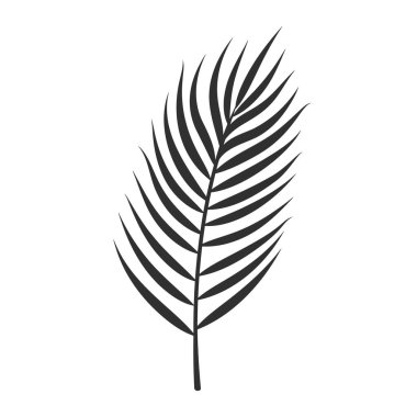 Beyaz arka planda izole edilmiş palmiye yaprağı. Siyah palmiye yaprağı silueti. Tropikal ağaç. Hindistan cevizi bitkisi. Vektör illüstrasyonu