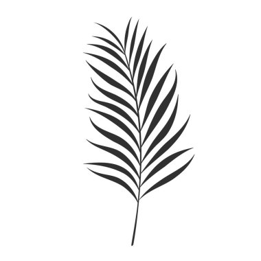 Beyaz arka planda izole edilmiş palmiye yaprağı. Siyah palmiye yaprağı silueti. Tropikal ağaç. Hindistan cevizi bitkisi. Vektör illüstrasyonu