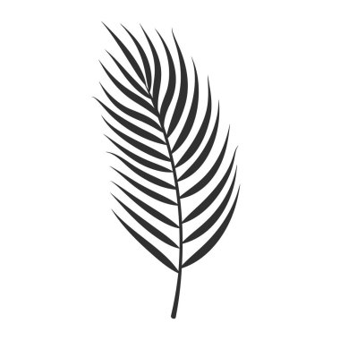 Beyaz arka planda izole edilmiş palmiye yaprağı. Siyah palmiye yaprağı silueti. Tropikal ağaç. Hindistan cevizi bitkisi. Vektör illüstrasyonu