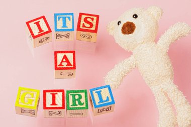 A Baby Shower invitation for a baby girl