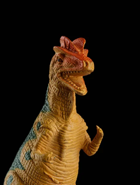 Toy Allosaurus Dinoszuar Hogy Élt Jurassic Időszakban Elszigetelt Fekete Alapon — Stock Fotó