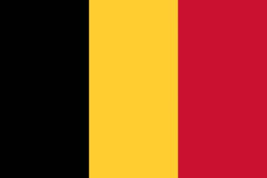 Belçika bayrağının resmi olarak Belçika Krallığı olarak bilinen bir tasviri.