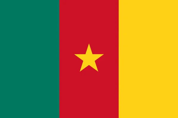Kamerun Hivatalos Nevén Kameruni Köztársaság Lobogójának Illusztrációja Fénymásolási Hellyel — Stock Fotó