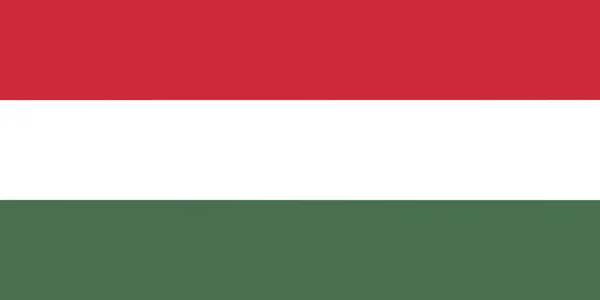 Illustration Official Flag Hungary Copy Space — Stock Photo, Image
