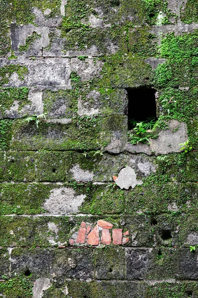 Binnenmuur Van Fort Santiago Deel Van Ommuurde Stad Intramuros Manilla — Stockfoto