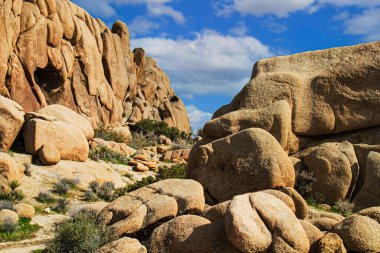 Joshua Tree Ulusal Parkı, Kaliforniya 'da granit kaya oluşumları. Birleşik Devletler