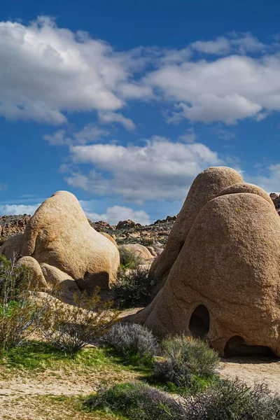 Granite Rock Formations Joshua Tree National Park California United States — Stock Photo, Image
