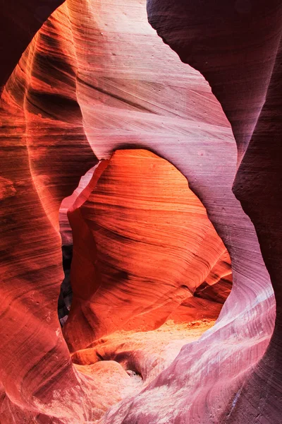 Schöner Lower Antelope Canyon Navajo Reservat Arizona Usa Nordamerika — Stockfoto