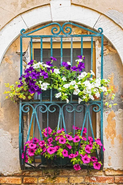 Fleurs Décorer Une Fenêtre Avec Architecture Vénusienne Typique Venise Italie — Photo