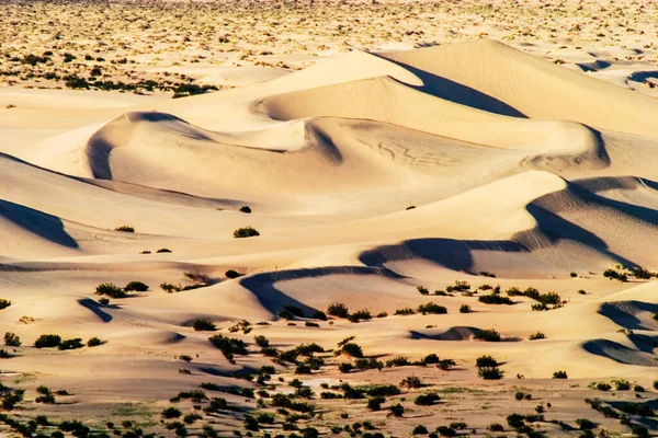 加州死谷国家公园的沙丘 — 图库照片