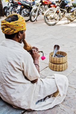 Yılan oynatıcısı Delhi Hindistan, Güney Asya sokaklarında turist barındırıyor.