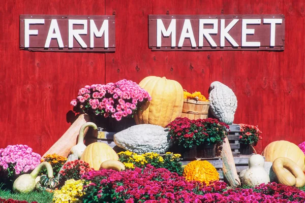 Rural Farm Market Midwest America Usa North America — Stock Photo, Image