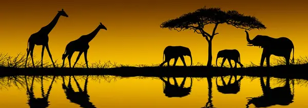 Elephants and giraffes reflected in the early morning light with copy space