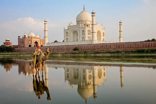 Taj Mahal Avec Jeune Garçon Chevauchant Chameau Autre Côté Rivière — Photo