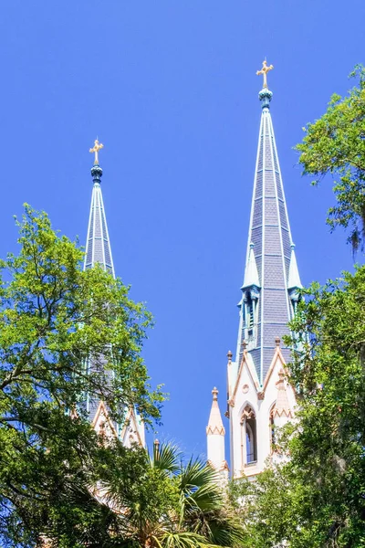 The Cathedral of St John the Baptist in Savannah Georgia, USA, North America, with copy space