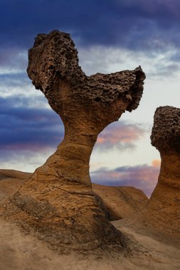 Jeologlar tarafından Yehliu Promontory olarak bilinen Yehliu Jeoloji Parkı, Daliao Miocene oluşumunun bir parçasını oluşturur. Geopark 'ın ayırt edici özelliklerinden biri de yüzeyi noktalayan hudu taşlarıdır. Yeni Taipei, Tayvan, Çin, Doğu Asya