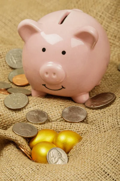 Close up of the Golden Eggs representing, wealth, retirement, savings, etc with copy space