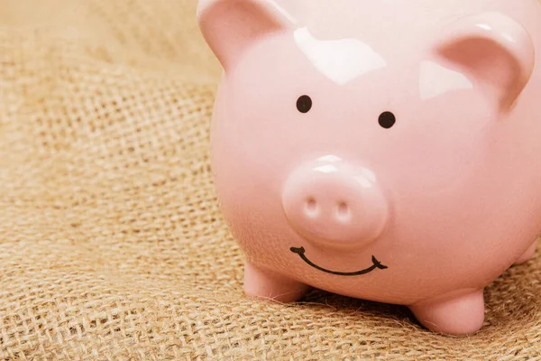 Piggy Τράπεζα Που Αντιπροσωπεύει Την Έννοια Του Πλούτου Συνταξιοδότηση Χρήματα — Φωτογραφία Αρχείου