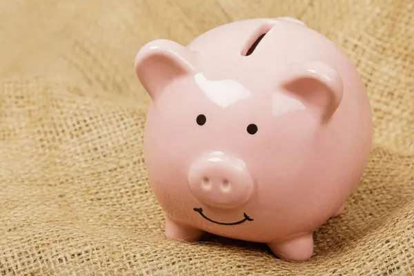 Piggy bank representing the concept of wealth, retirement, money, etc. with copy space